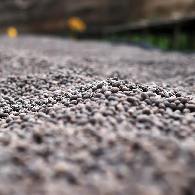 Natural Grade - photo 4