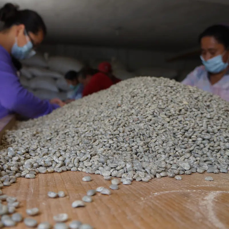 UDAINI ALHAIMH - photo 4