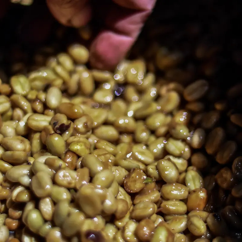 Natural Grade - photo 5