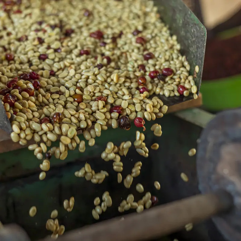 YIRGACHEFFE Best quality - photo 7