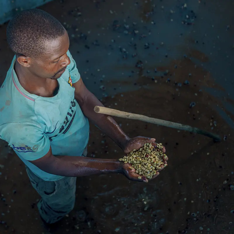 YIRGACHEFFE Best quality - photo 2