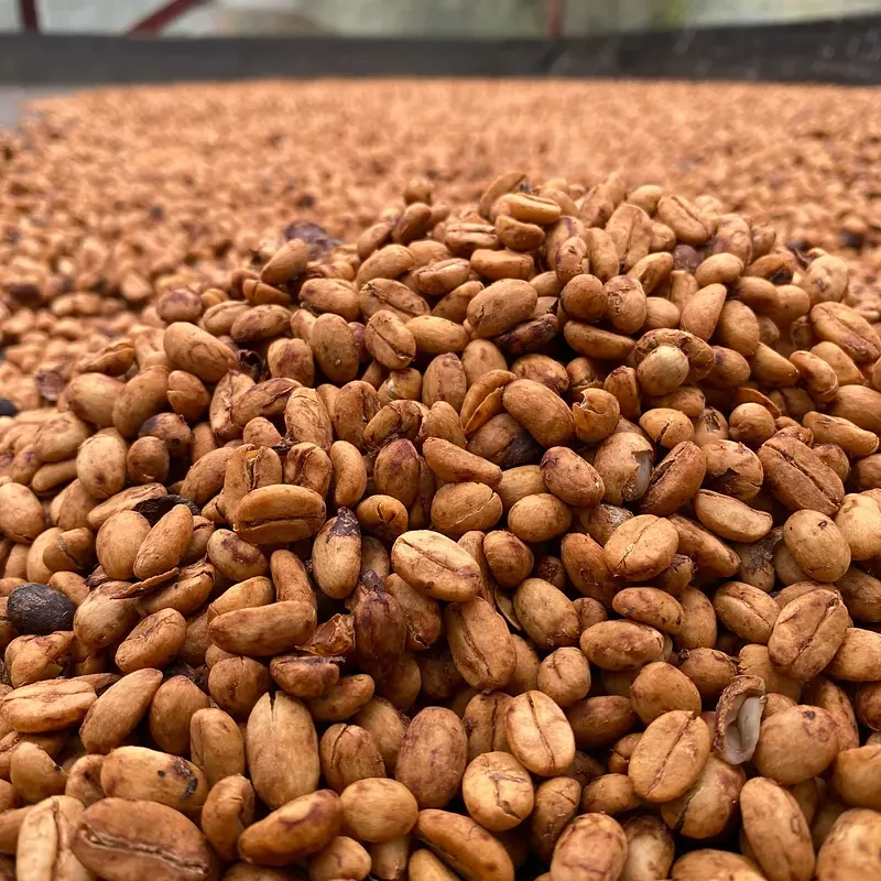 Natural Grade - photo 1