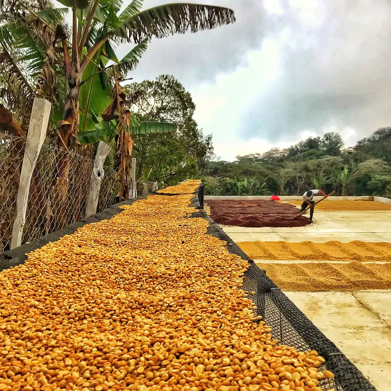 UDAINI ALHAIMH - photo 1